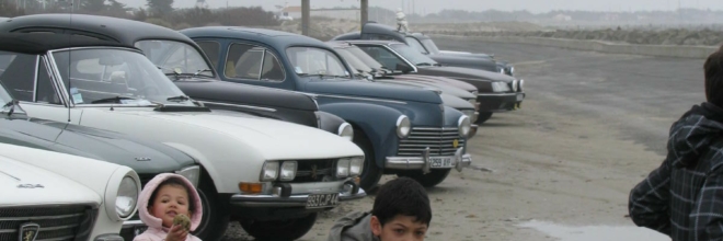 2010_03_28 Dégommage